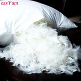 Premium Natural Goose Down Pillow Inserts