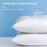 Standard White Throw Pillow Insert