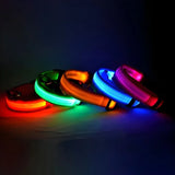 LED Night Dog Collar