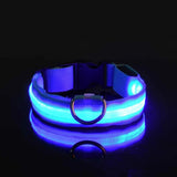 LED Night Dog Collar