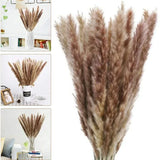 Real Dried Pampas Grass Arrangements