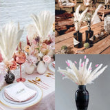 Real Dried Pampas Grass Arrangements