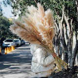 120cm Artificial Pampas Grass Bouquet