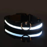 LED Night Dog Collar