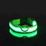 LED Night Dog Collar