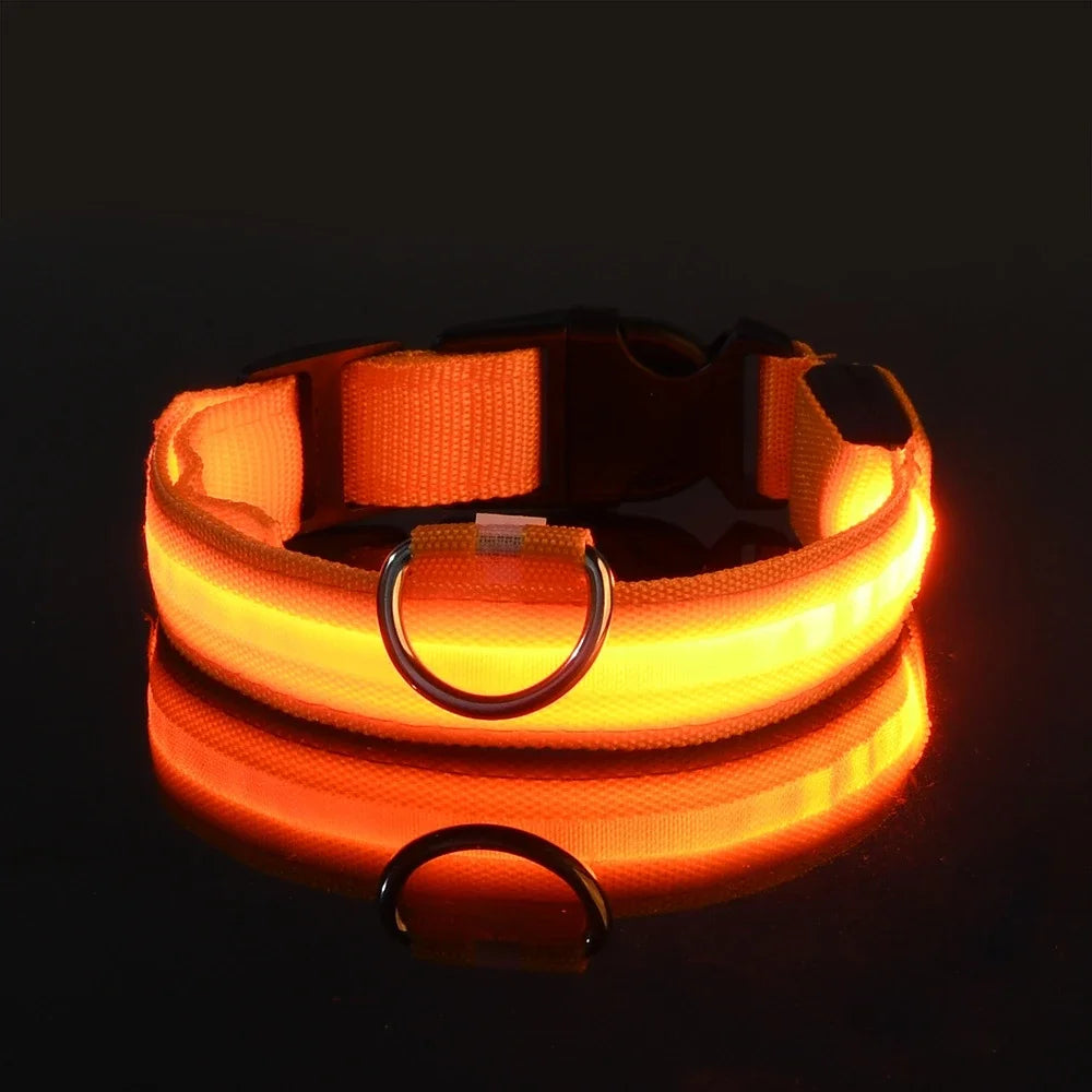 LED Night Dog Collar