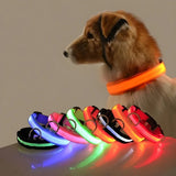 LED Night Dog Collar