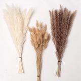 Real Dried Pampas Grass Arrangements